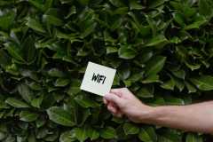 Tujuh hal yang wajib dicek saat memilih layanan internet